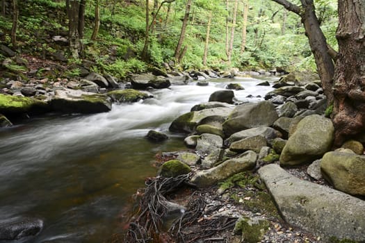 the river Bode in the Harz National Park
