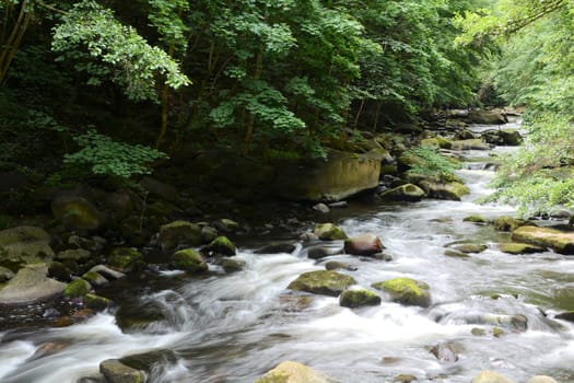 the river Bode in the Harz National Park
