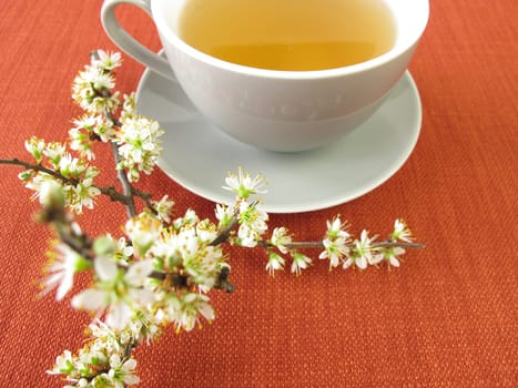 Sly Blossomtea