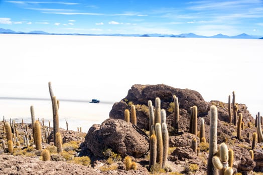 View of the Uyuni Salt Flat as seen from Incahuasi Island with and SUV passing by