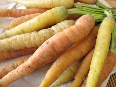Carrots from the garden