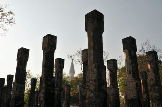 Pillars. Ruins. Ancient city of Polonnaruwa. Sri Lanka
