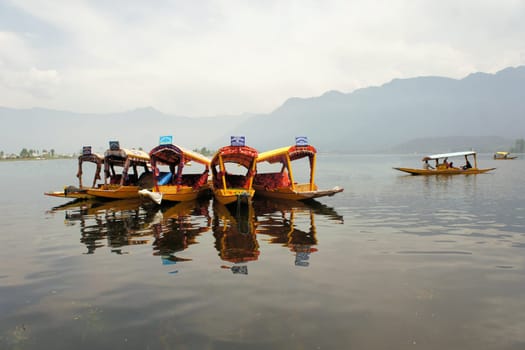 Shikara boats with mirror effect in Dal lake, Srinagar, Kashmir, India