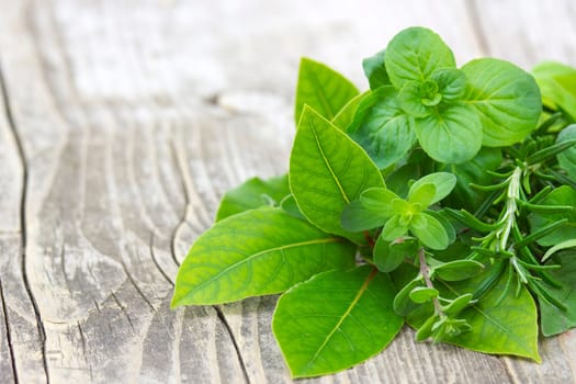 Freshly harvested herbs on wooden background