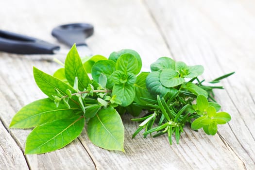 Freshly harvested herbs with scissors on wooden background