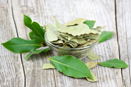 laurel bay leaves