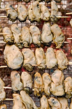 The line of oysters being sticked and dried