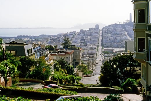 View of San Francisco with Lombard street and Telegraph Hill