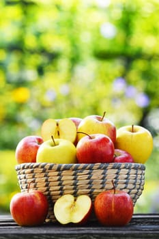 Organic apples in the garden. Balanced diet.