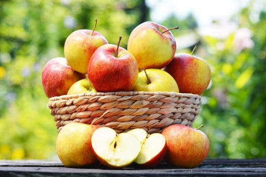 Organic apples in the garden. Balanced diet.