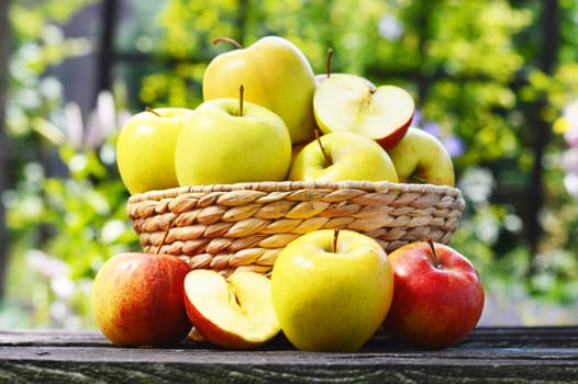 Organic apples in the garden. Balanced diet.