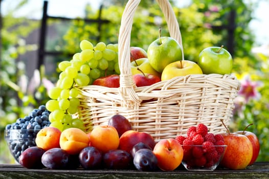Fresh ripe organic fruits in the garden. Balanced diet.