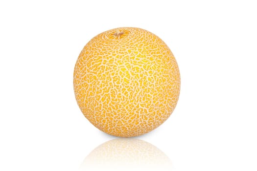 A Galiamelone isolated and spiked against a white background