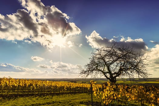 Autumn in Mainfranken
