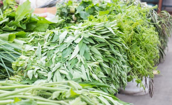 Green grocery at local market, stock photo