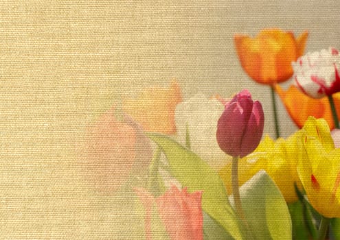 tulips on canvas texture