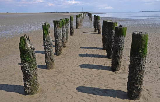 Wangerooge