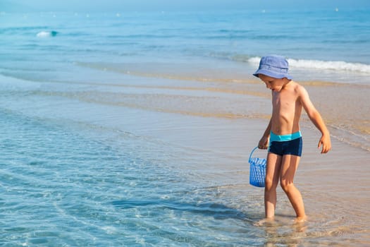 Cute boy looking for sea shells on the beach