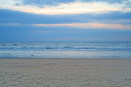 Evening at the beach Texel