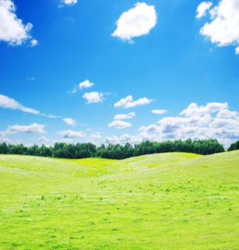 field on a background of the blue sky
