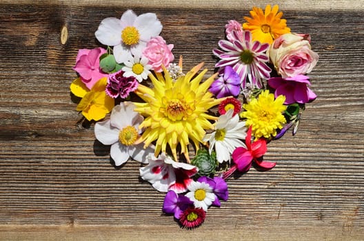 Flower heart on wood