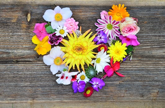 Flower heart on wood