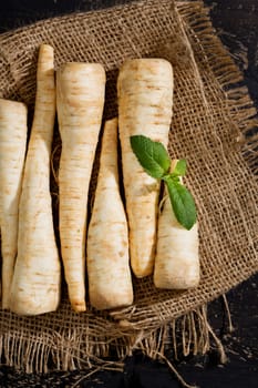 Root petersilie or parsley root (Petroselinum crispum subsp. tuberosum),Studio