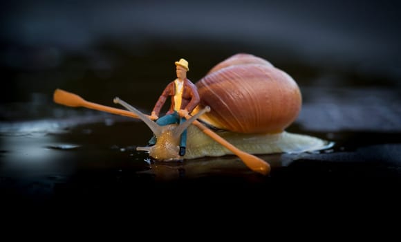 Snail Ship