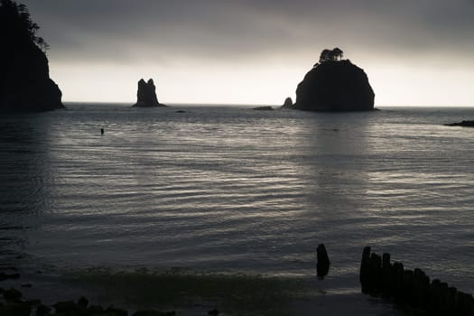 Fog just does not want to lift just before sunset looking out from first beach near LaPush, WA