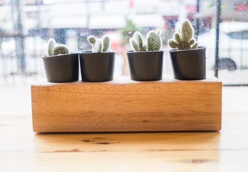 Cactus plant pot decorated wooden table, stock photo