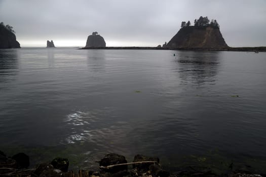 Fog just does not want to lift just before sunset looking out from first beach near LaPush, WA