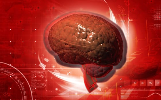 Digital illustration of brain in colour background