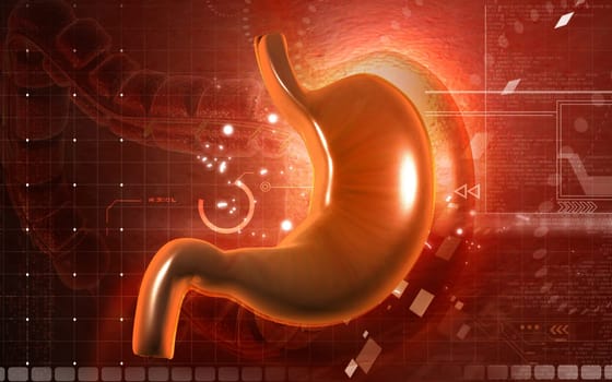 Digital illustration of stomach in colour background