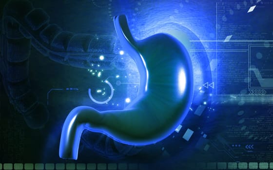 Digital illustration of stomach in colour background