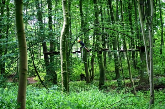 Schwerin,Germany – August 09,2012: The Schwerin climbing forest with obstacle course in the middle of trees and people in protective gear on August 9,2012 in Schwerin.