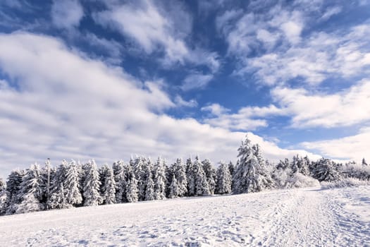 Winter on the Wasserkuppe in the Rhön