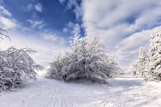 Winter on the Wasserkuppe in the Rhön