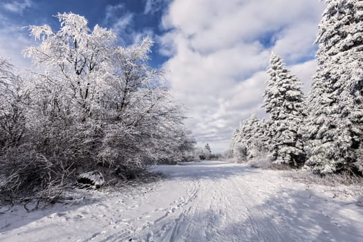 Winter on the Wasserkuppe in the Rhön