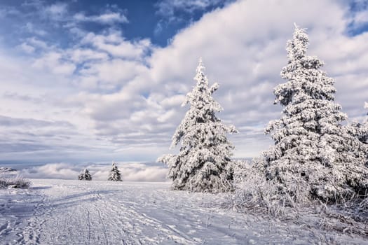 Winter on the Wasserkuppe in the Rhön