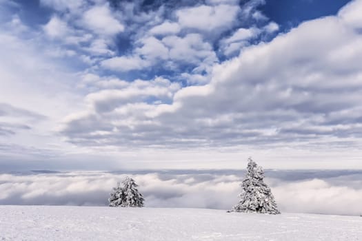 Winter on the Wasserkuppe in the Rhön