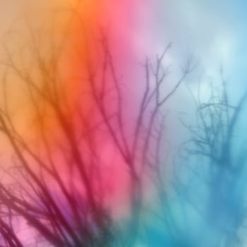 Tree branches blur distorted through painted glass. Nature abstract.