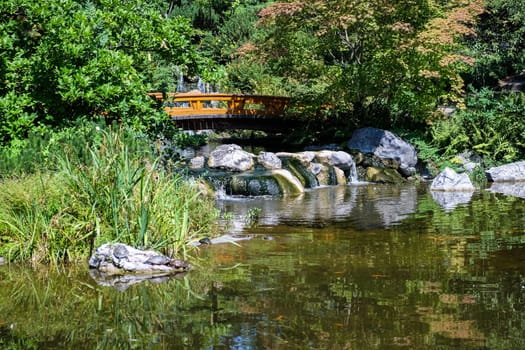 Japanese garden,landscape with pond and plants