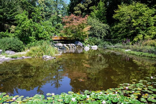 Japanese garden,landscape with pond and plants