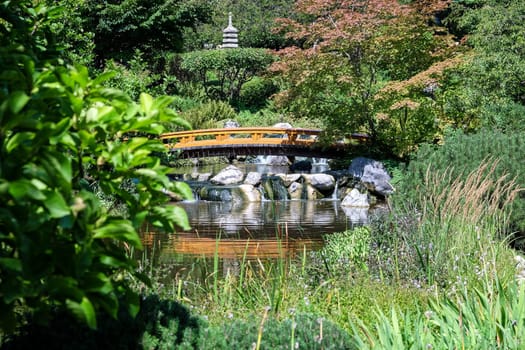 Japanese garden,landscape with pond and plants