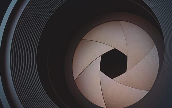 Looking through the lens camera. The diaphragm in macro photography.