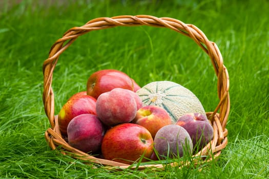fruits in a basket in summer grass