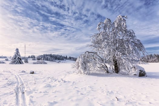 At heidelstein in the Rhön