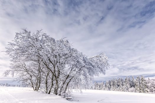 At heidelstein in the Rhön