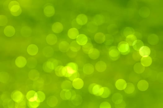 Abstract circular natural green bokeh texture background