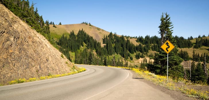 Horizontal composition of roadway in Olympic National Park